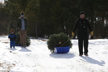Jordan and Theodore Allen (left) and Leo Johnston pull their Christmas trees to their vehicles at the Mason Tree Farm near Kenaston.