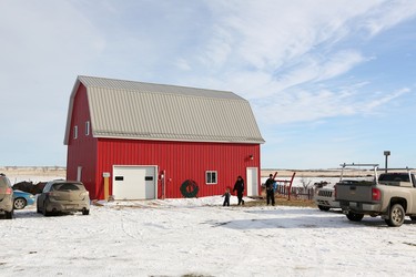 Cora Greer and Bob Mason's red barn is headquarters for their choose-and-cut Christmas tree farm near Kenaston.