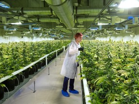 Alberta-based Aurora made an unsolicited all-stock offer in November of up to $24 per share for Saskatoon's CanniMed, a fellow medical marijuana company, which in turn adopted a shareholder rights plan, or poison pill, in an attempt to block the takeover.