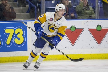 Saskatoon Blades defenceman Jake Kustra celebrates a goal against the Red Deer Rebels in third period WHL action in Saskatoon, SK on Friday, January 5, 2017.