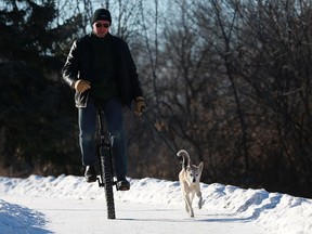 Tom Wolf takes his dog out for a unicycle ride along Saskatchewan Crescent East in Saskatoon on January 14, 2018. Wolf cycles to work and back every day, even in the winter, saying he enjoys the cold and that the unicycle provides him more of a workout.