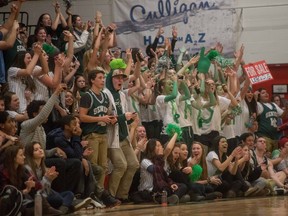 Holy Cross fans cheer during the BRIT high school basketball final between Dr. Martin LeBoldus and Holy Cross on Jan. 10, 2015. LeBoldus took the title 78-59 to win their second consecutive BRIT championship.