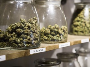 Marijuana in jars at the Colorado Harvest Company dispensary in June, 2016.