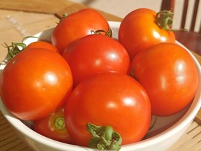 Cocktail tomato 'Red Racer F1' is one of six of non-profit organization All-America Selections' annual vegetable winners. (All-America Selections photo)