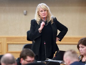 Councillor Bev Dubois speaks at city council regarding the fire pit regulations in Saskatoon on February 26, 2018.