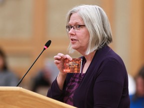 Ruth Elliott speaks at city council regarding the naming of the traffic bridge in Saskatoon on February 26, 2018.