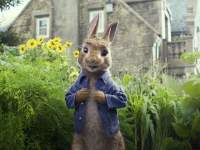 FILE - This image released by Columbia Pictures shows Peter Rabbit, voiced by James Corden and Cottontail in a scene from "Peter Rabbit." The filmmakers and the studio behind it are apologizing for insensitively depicting a character's allergy in the film that has prompted backlash online. Sony Pictures said Sunday, Feb. 11, 2018, in a statement the film "should not have made light" of a character being allergic to blackberries "even in a cartoonish" way.