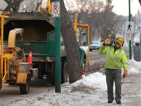 Davey Tree Service workers trim back trees away from power lines on 24th Street East in Saskatoon, SK on March 20, 2018.