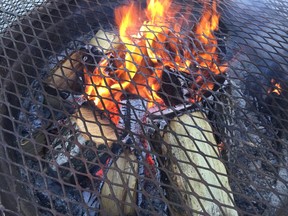 Saskatoon city council has endorsed changes to the rules regarding backyard firepits that would prohibit their use outside the hours of 5 p.m. to 11 p.m. (PHIL TANK/The StarPhoenix)