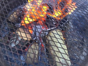 Saskatoon city council has endorsed changes to the rules regarding backyard fire pits that would prohibit their use outside the hours of 5 p.m. to 11 p.m. (PHIL TANK/The StarPhoenix)