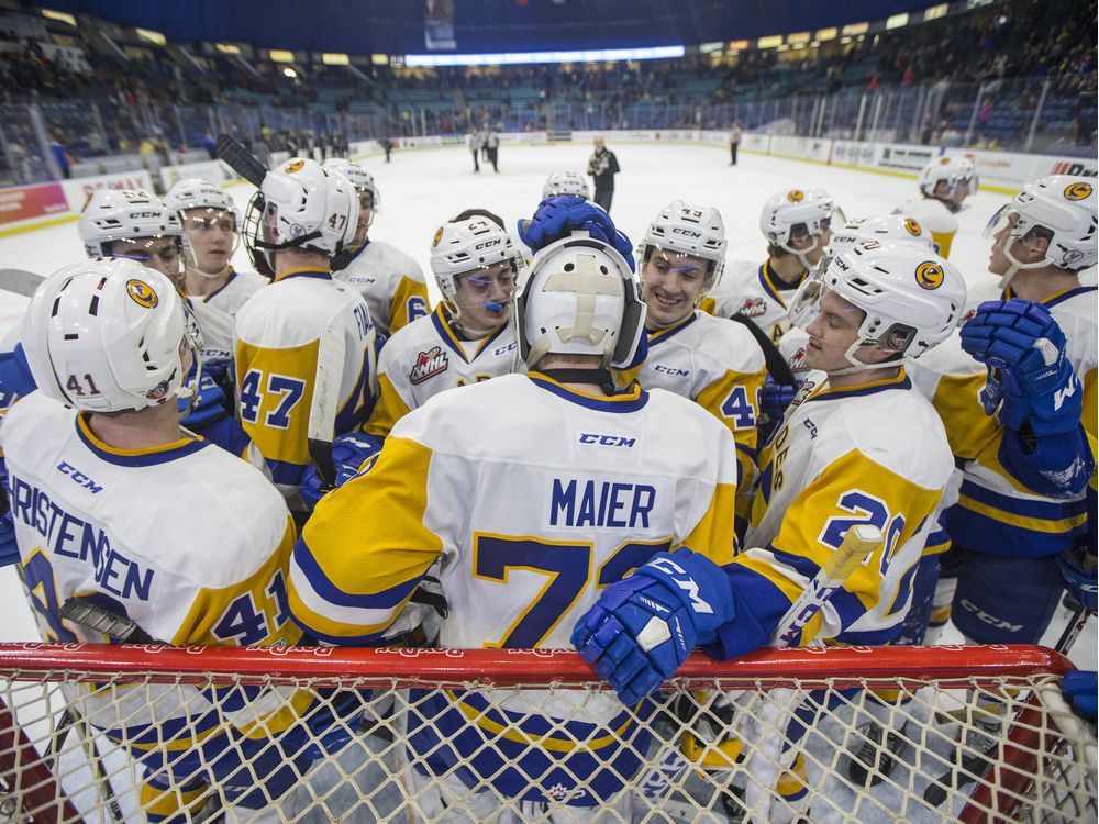 Blades owner backs new downtown Saskatoon arena The Star Phoenix