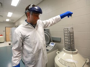 Darryl Falzarano, a University of Saskatchewan scientist is studying a rare disease in camels at VIDO/Intervac on campus in Saskatoon on April 3, 2018.