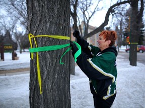 Lynne Brecht ties ribbons, in the Broncos colours, around trees all over main street Humboldt, Sask., on Wednesday April 10, 2018.