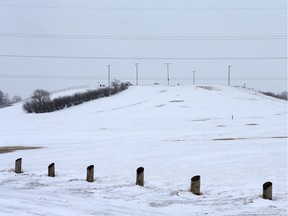 The group planning a winter recreation facility on the hill at Diefenbaker Park told a Saskatoon city council committee on Monday, April 9, 2018, that it is ready to begin work on the project.