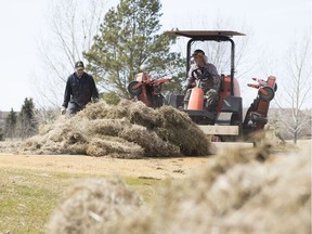 John Hopcraft uses a tractor to move around dead grass at Wildwood Golf Course to prepare for the summer season in Saskatoon, SK on Tuesday, April 24, 2018.