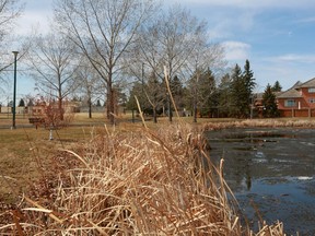 The Lakeview Park pond, located near École Lakeview School, in Saskatoon, Sask., on April 30, 2018