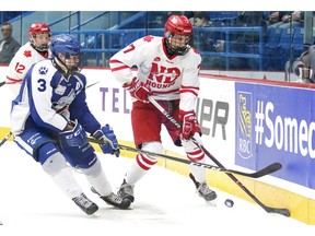 The Notre Dame Hounds are this year's Telus Cup winners.