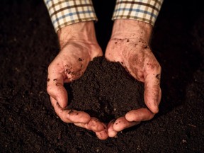 The best potting soils have a high percentage of coarse-fibred peat moss.