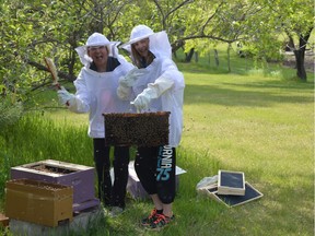 Members of RRRR Multiple 4-H Club are doing a beekeeping project.