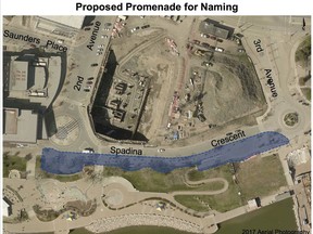 Coun. Ann Iwanchuk is proposing to name the promenade at River Landing in Saskatoon for Joni Mitchell.
