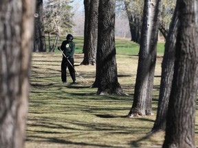 Leaves are being raked at the Saskatoon Golf & Country Club, during a late start to the golf season in Saskatoon, Sask. on May 9, 2018.