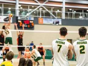 A pair of University of Regina Cougars Conal McAinish, right, and Matthew Aubrey look on during a game this season against the Thompson Rivers University Wolfpack. BRANDON HARDER/Regina Leader-Post
