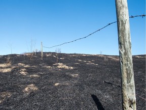 A grass fire swept through this valley south of Lumsden.
