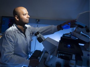 Student Raghuveera Goel studies an enzyme linked to breast cancer. (photo by Dave Stobbe for the University of Saskatchewan)