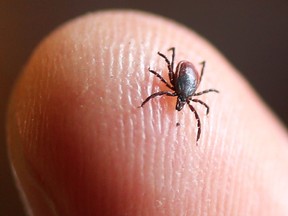 With tick season underway, the province is campaigning to raise awareness about ticks and the risk of Lyme disease in Saskatchewan.