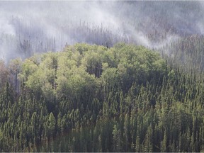 Cooler temperatures and the prospect of rain could help contain a pair of troublesome forest fires, the Saskatchewan government says.