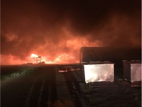 A barn fire near Rosetown that killed 12,000 pigs is said to have started at around 11:40 p.m. on June 1 and quickly spread throughout the facility. No one was injured and the cause is under investigation.