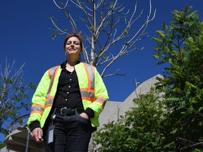 Michelle Chartier is a superintendent, parks for the City of Saskatoon. She says thousands of black ash trees are dead or dying due to an invasive insect species. Photo taken June 15.