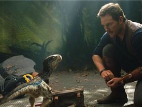 Chris Pratt as Owen with a baby Velociraptor in "Jurassic World: Fallen Kingdom."