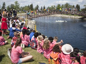 School children watch their ducks enter a pond during the 16th Annual Duck Launch event at Hillcrest Funeral Home & Cemetery on Wednesday