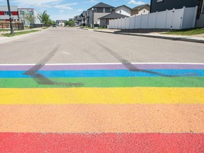 Black marks from vehicle tires on a freshly painted rainbow crosswalk near Ecole Harbour Landing School.
