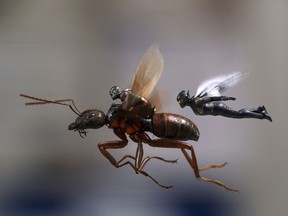 A scene from "Ant-Man and the Wasp."