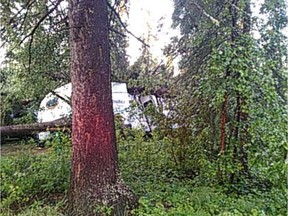 Fallen trees entrapped campers at the Murray Point campground at Emma Lake overnight Friday as an intense storm passed through central Saskatchewan. July 7, 2018. (Photo from Lakeland and District Fire Department) ORG XMIT: 3jb466hvekPNuJBOSXi2