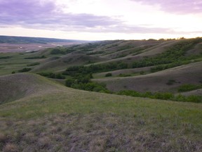 An area of native grasslands and seasonal wetlands that are home to several birds considered threatened or of special concern is getting protection in southern Saskatchewan. A view of Saskatchewan's newest conservation area, Valley View, is seen in an undated handout image near Craven, Saskatchewan.