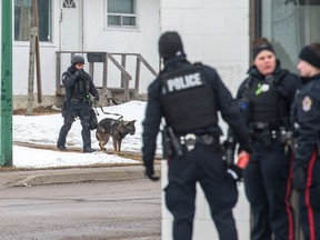 A Regina police SWAT officer leads a police dog away from a home on the 400 block of McIntyre Street in Regina.