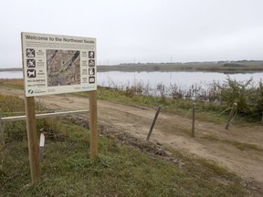 Saskatoon city council's transportation committee endorsed two measures to try to protect wildlife in the Northeast Swale as it prepares to open roadways that will connect to the new Chief Mistawasis Bridge in October.