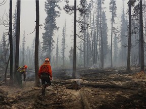 Fire crews assess and fall danger trees in the southwest section of the Verdant Creek wildfire near Highway 93S in a handout photo from Parks Canada. A wildfire burning near the Alberta-British Columbia boundary continues to threaten a key highway linking the two provinces.