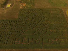 An aerial shot shows the annual corn maze at Youth Farm Bible Camp, near Rosthern, SK. The camp's executive director says the theme for 2018 is "Behold," a word often associated with the birth of Christ.