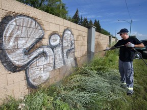 Graffiti removal expert Tom Douglas sprays a proprietary chemical on to some graffiti tags and then power washes them away on Dundonald Avenue, Friday, July 22, 2016.