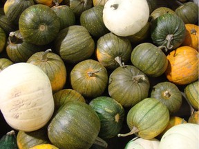Harvested green pumpkins that will ripen to orange. (Jackie Bantle)