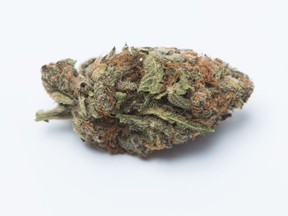 Medical marijuana is shown in Toronto, November 5, 2017.