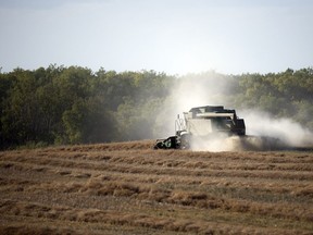 Farmers are once again seeing conditions allowing for combining after more than a month of wet weather.