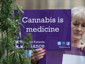 A supporter holding a placard promoting the use of cannabis as a medicine stands alongside a marijuana plant during a 'Tea Party' organised by the United Patients Alliance (UPA), with food and drink products containing cannabis, opposite the Houses of Parliament in central London in 2017.