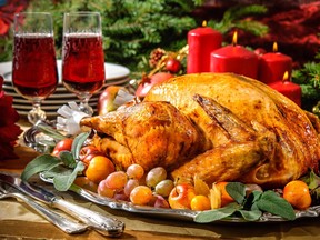 Some wines pair up perfectly with a Thanksgiving turkey.