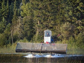 The wild rice harvester on Lake Meeyomoot at work with Chase Muirhead at the controls.