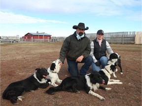 Marcel and Jolie Vermette train stock dogs at their Rafter View Ranch near Saskatoon with their company Ranch Dog Inc. They are running a competition during Agribition this year.